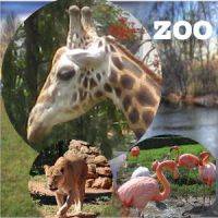 Kids Essay Zoo Visit