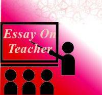 Essay on favorite teacher